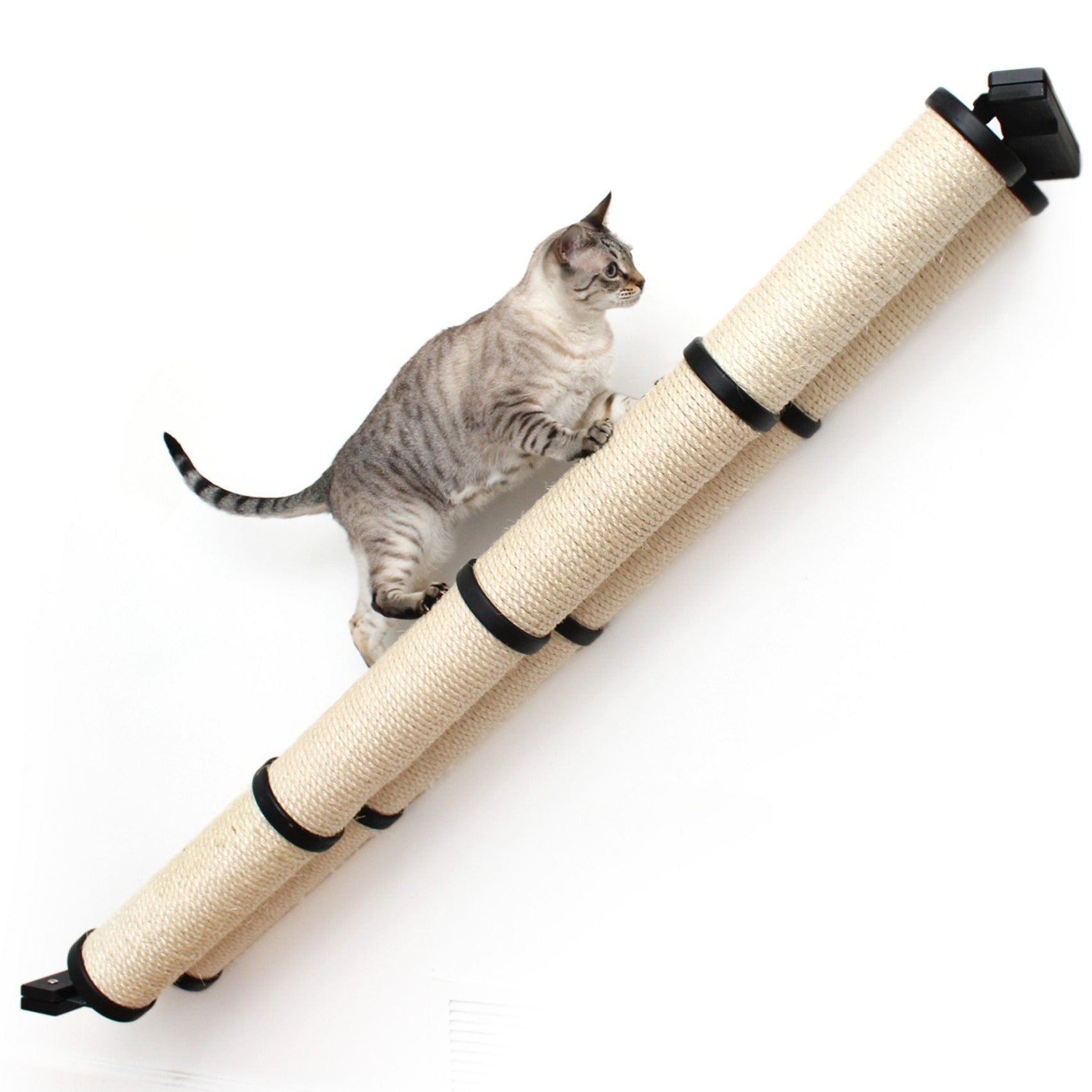 Cat Scratch Ramp Adjustable Cat Scratcher Ramp at Susan Burke blog