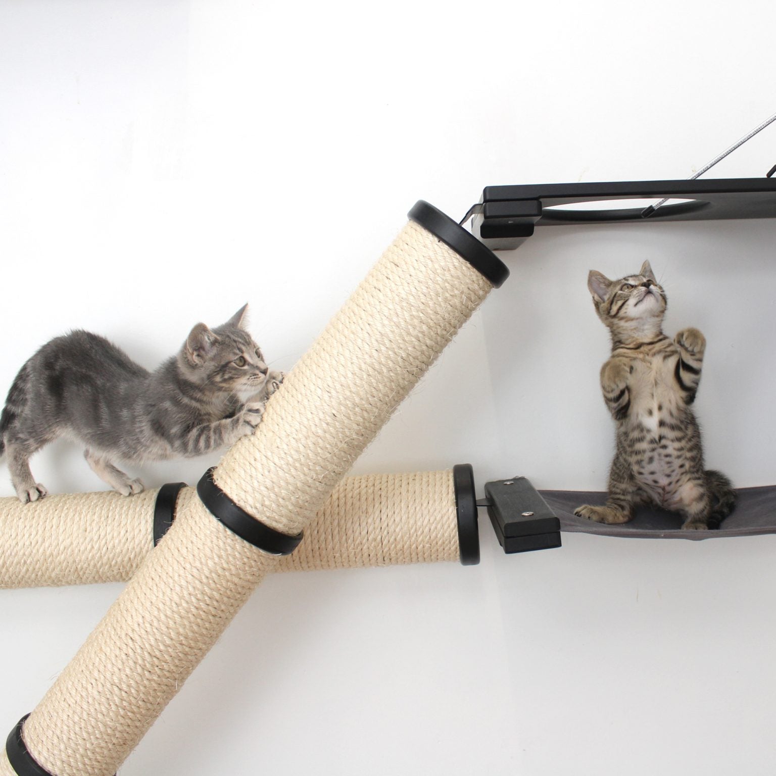 The Crossroads Wall Cat Scratcher - Cat Tree Condo by Catastrophic Creations
