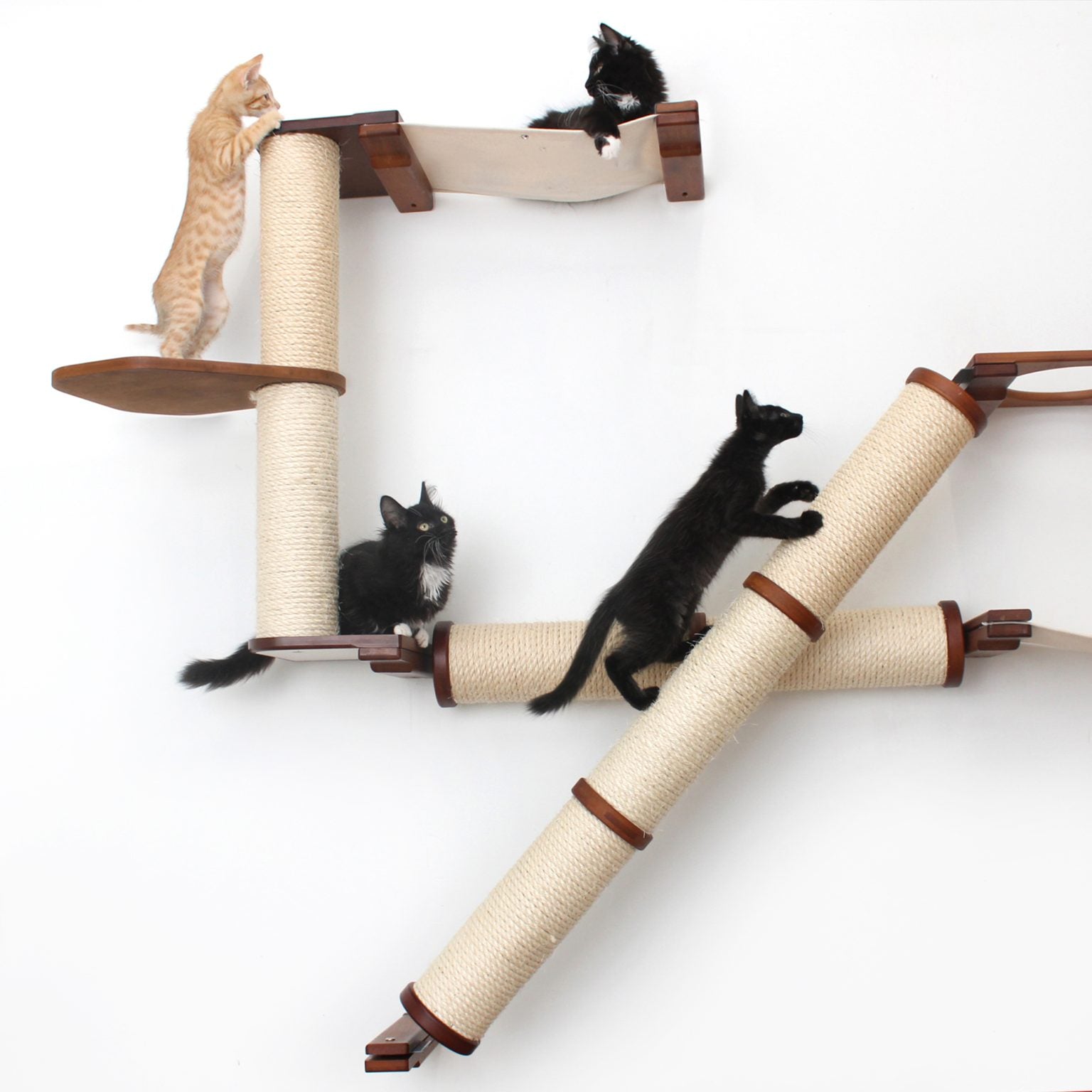 The Crossroads Wall Cat Scratcher Cat Tree Condo by Catastrophic Creations