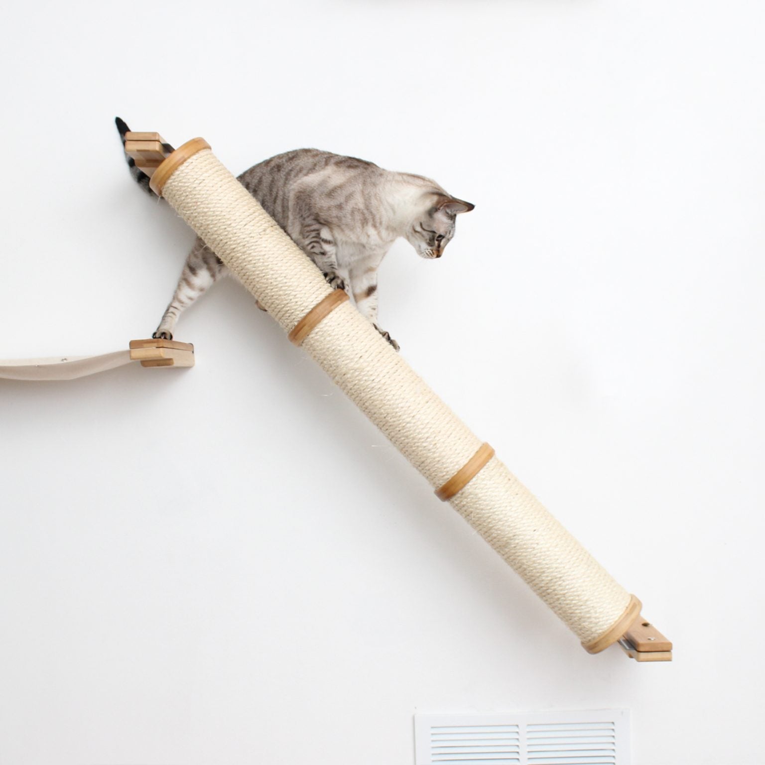 Angled Cat Scratcher Ramp (Cat Wall Scratchers) by Catastrophic Creati