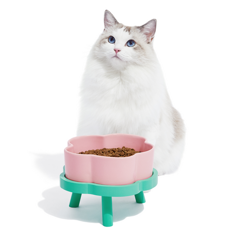 Jackson galaxy cat bowl store - Main Image