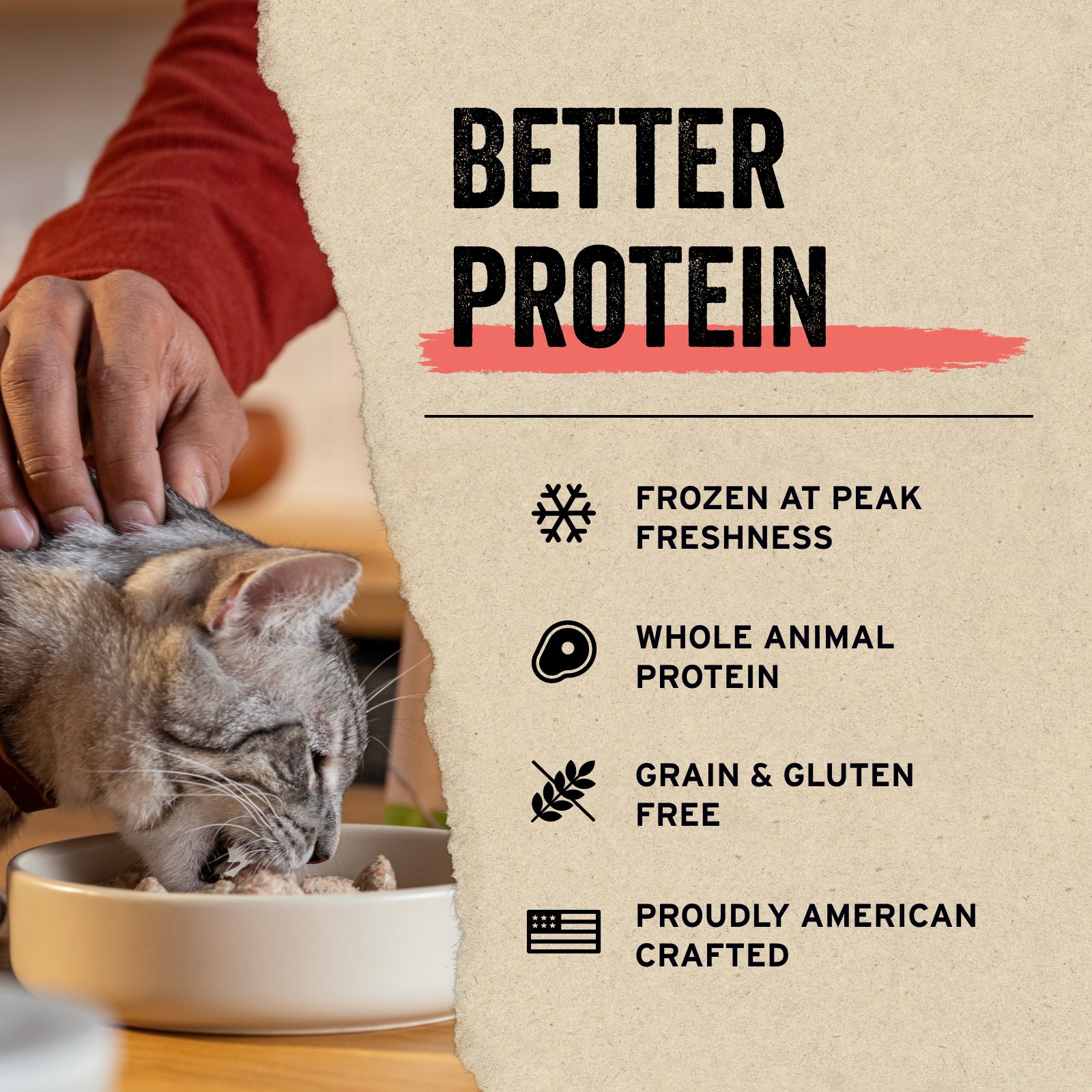 Freeze-Dried Cat Treats by Vital Essentials®