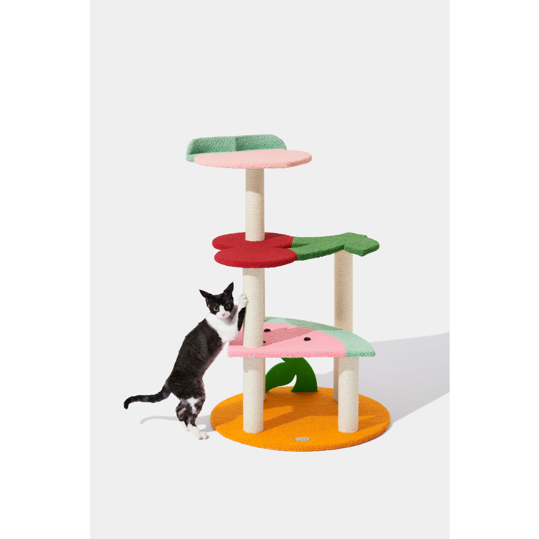 Fruit Frenzy Cat Climber Tree by Vetreska