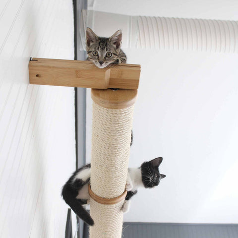 Horizontal Scratching Post (Cat Wall Scratcher) by Catastrophic Creations