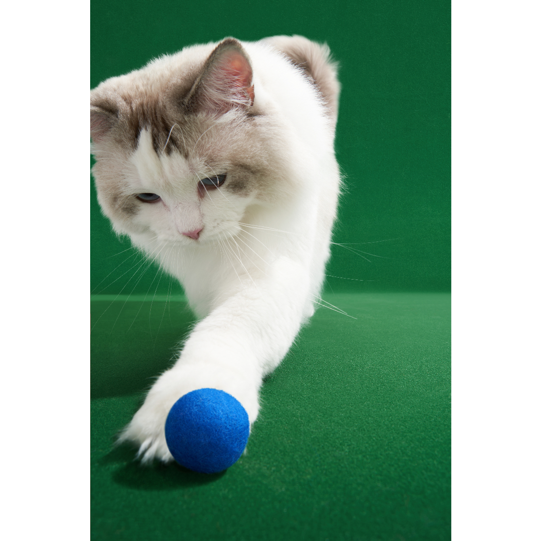 Meownooker Cat Pool Table Toy Set by Vetreska