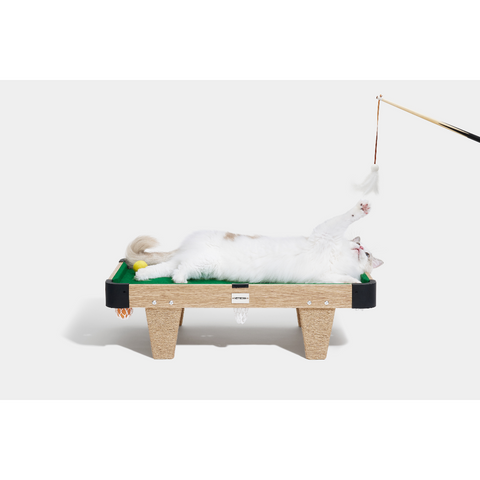 Meownooker Cat Pool Table Toy Set by Vetreska