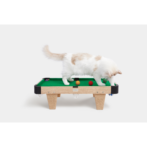 Meownooker Cat Pool Table Toy Set by Vetreska