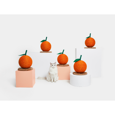 Tangerine Cat Scratching Ball by Vetreska