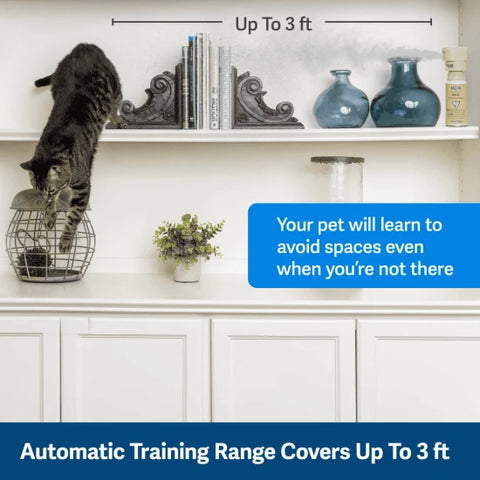 SSSCat Spray Deterrent Refill by PetSafe