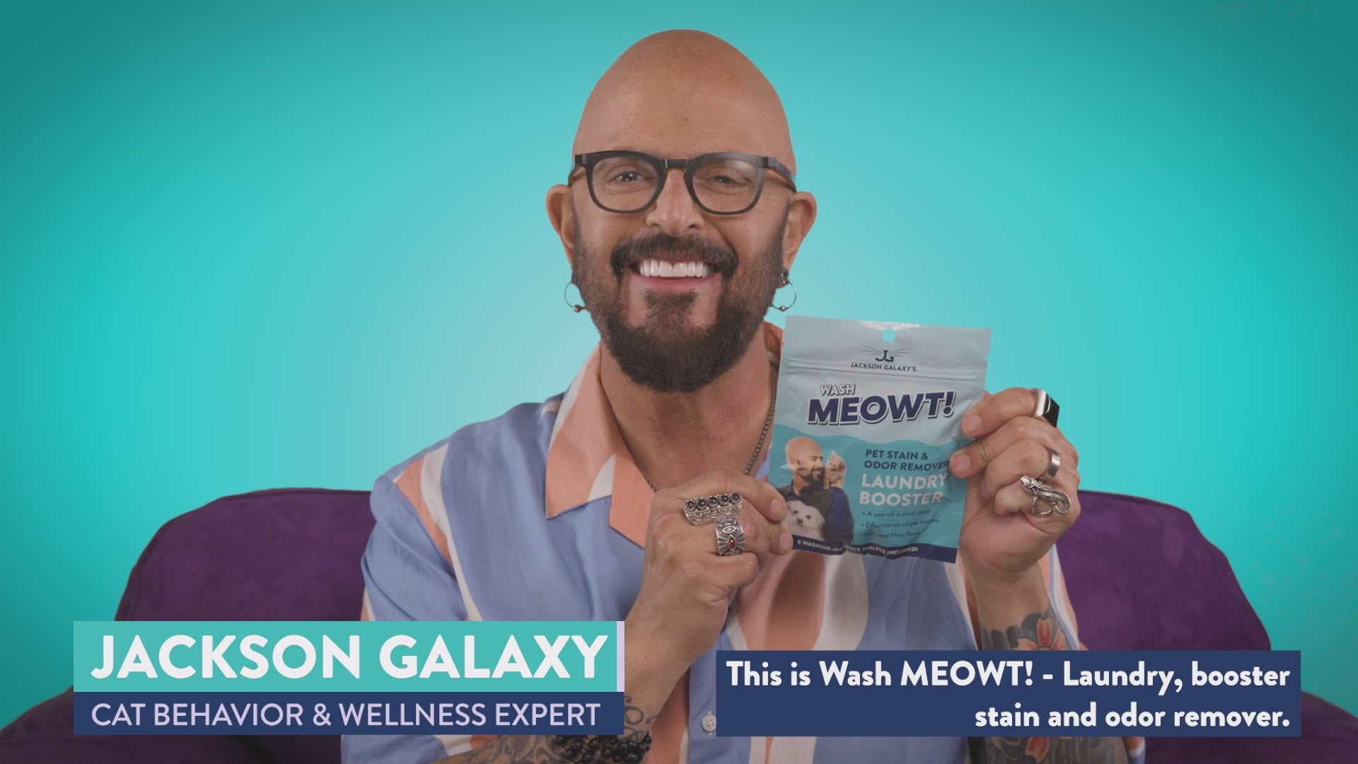 Cat Body Language Tails Jackson Galaxy