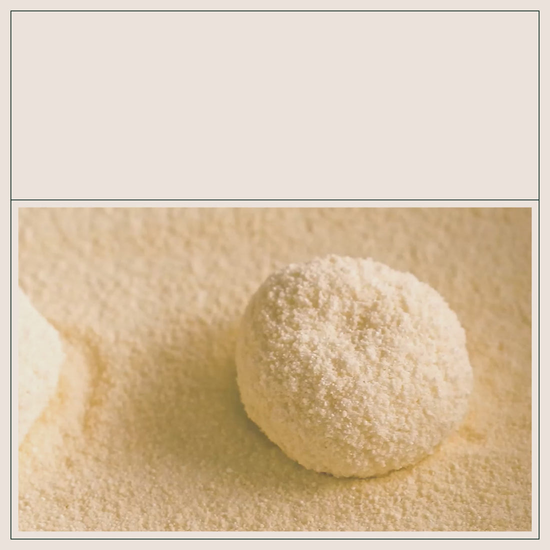 The Truth About Automatic Litter Boxes Jackson Galaxy