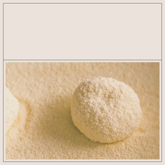 The Truth About Automatic Litter Boxes Jackson Galaxy