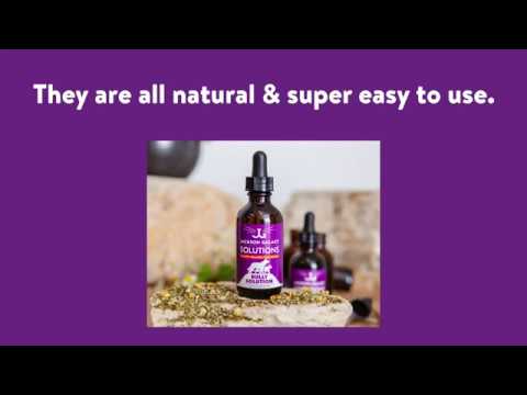 Separation Anxiety - Anti Anxiety Solution for Cats & Dogs