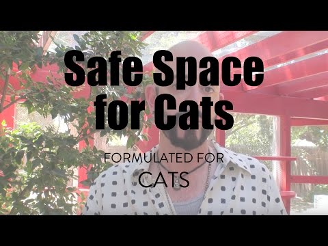 Safe Space for Cats