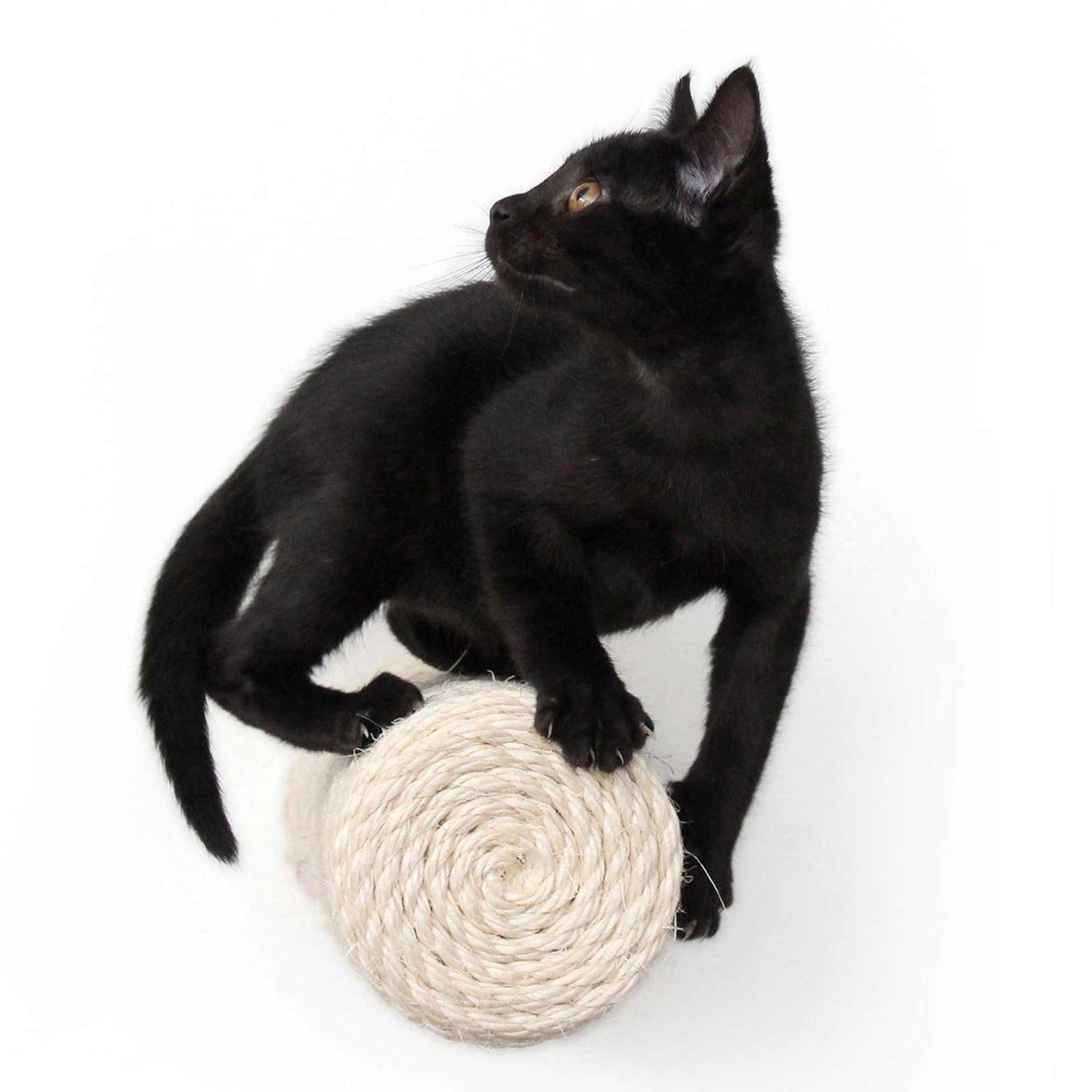 Cat Scratching Post Floating Cat Steps (For Walls) by Catastrophic C Jackson Galaxy