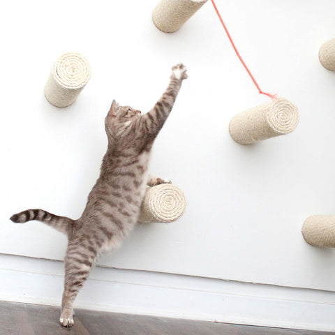Cat Scratching Post - Floating Cat Steps (For Walls) by Catastrophic Creations