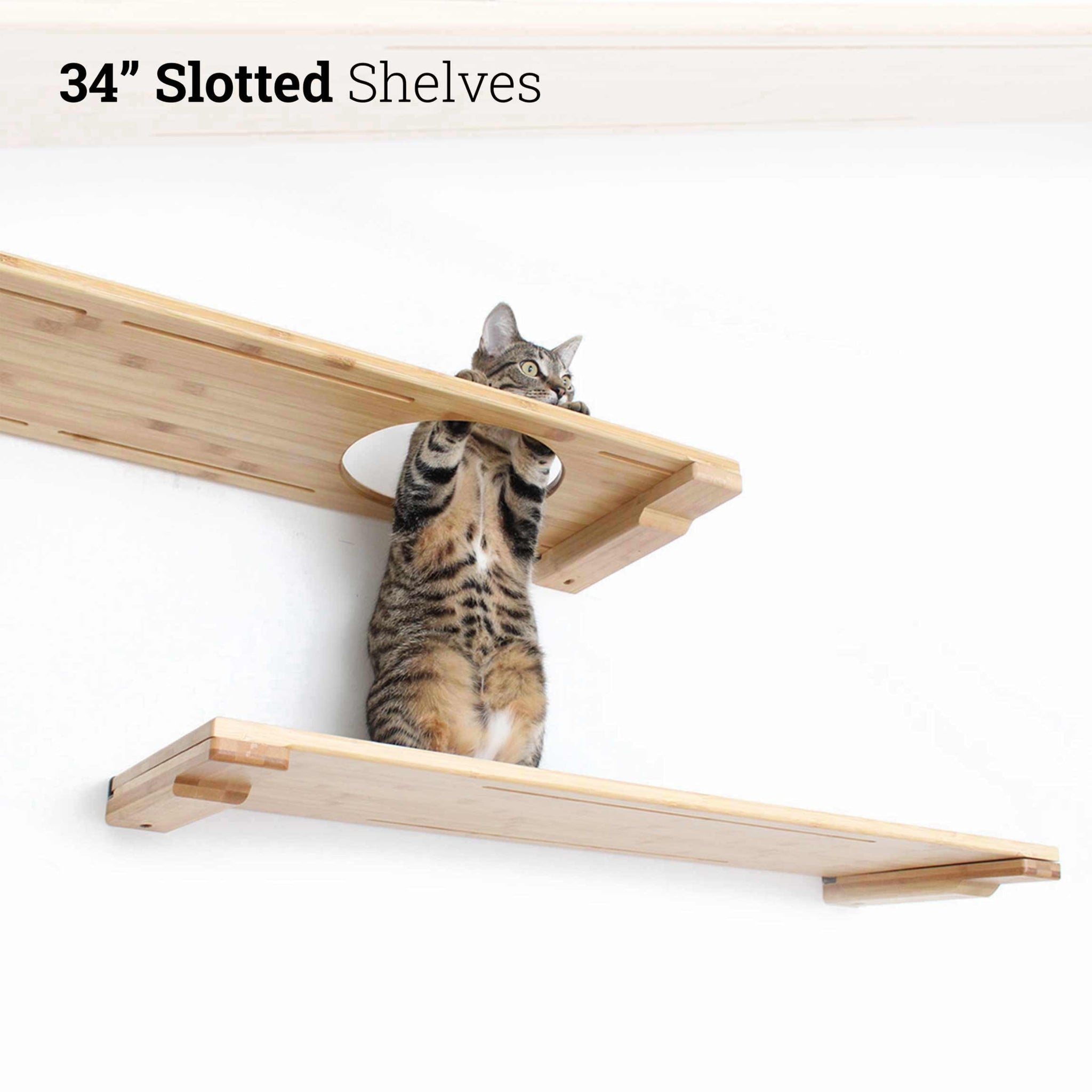 Wall-Mounted Cat Shelf by Catastrophic Creations