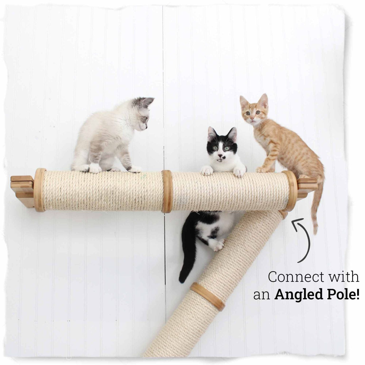 Horizontal Scratching Post (Cat Wall Scratcher) by Catastrophic Creations