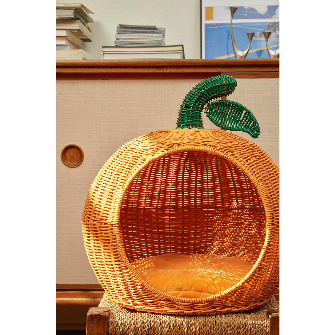 Tangerine Rattan Pet Bed by Vetreska