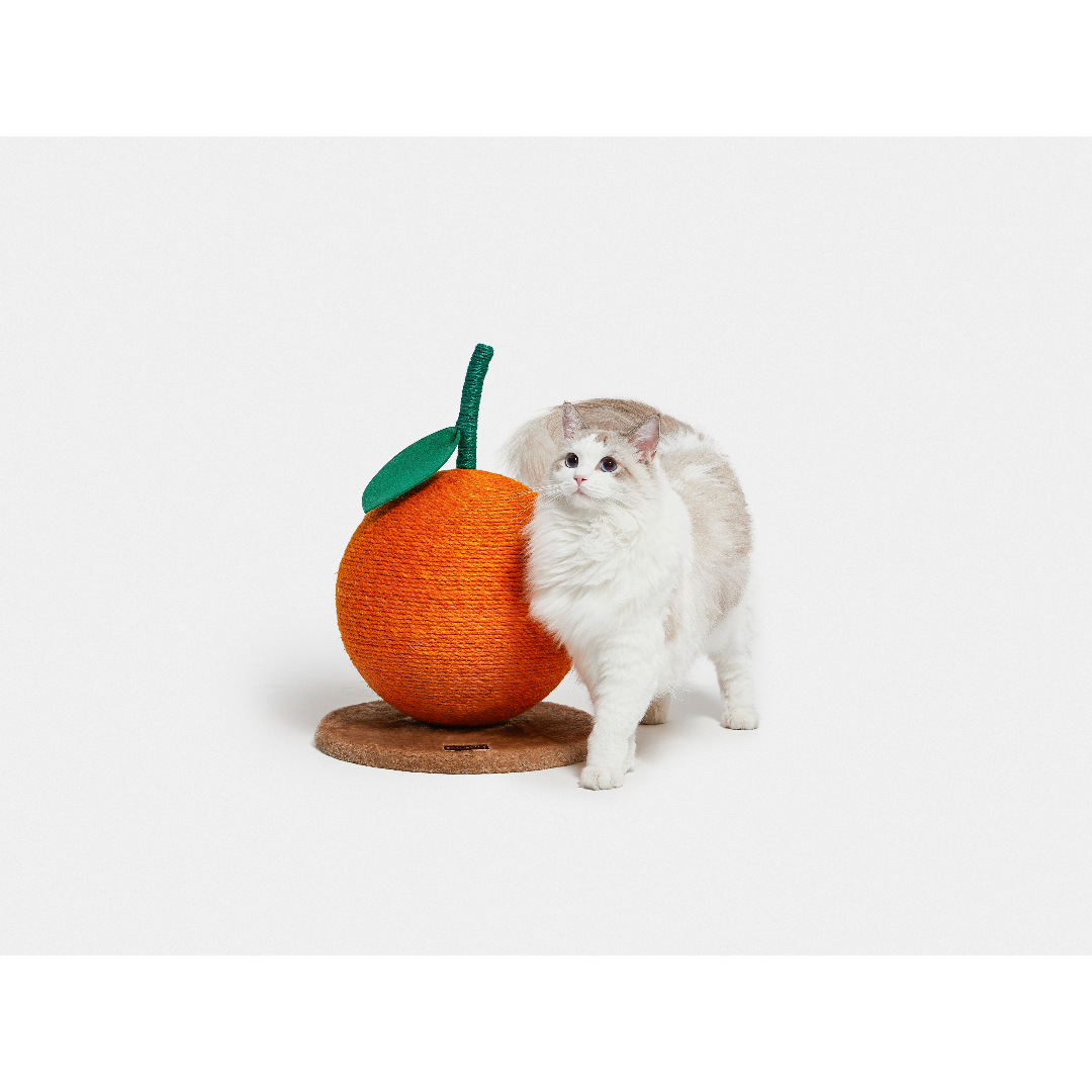 Tangerine Cat Scratching Ball by Vetreska