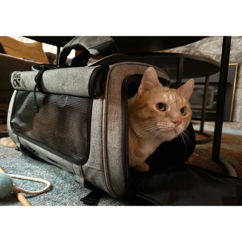 The Transpurrter Ultimate Calming Convertible Cat Carrier in Heather Grey and Teal / Your Cat Backpack