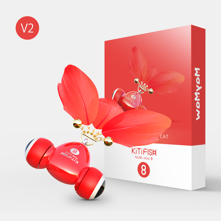 For Cats Jackson Galaxy