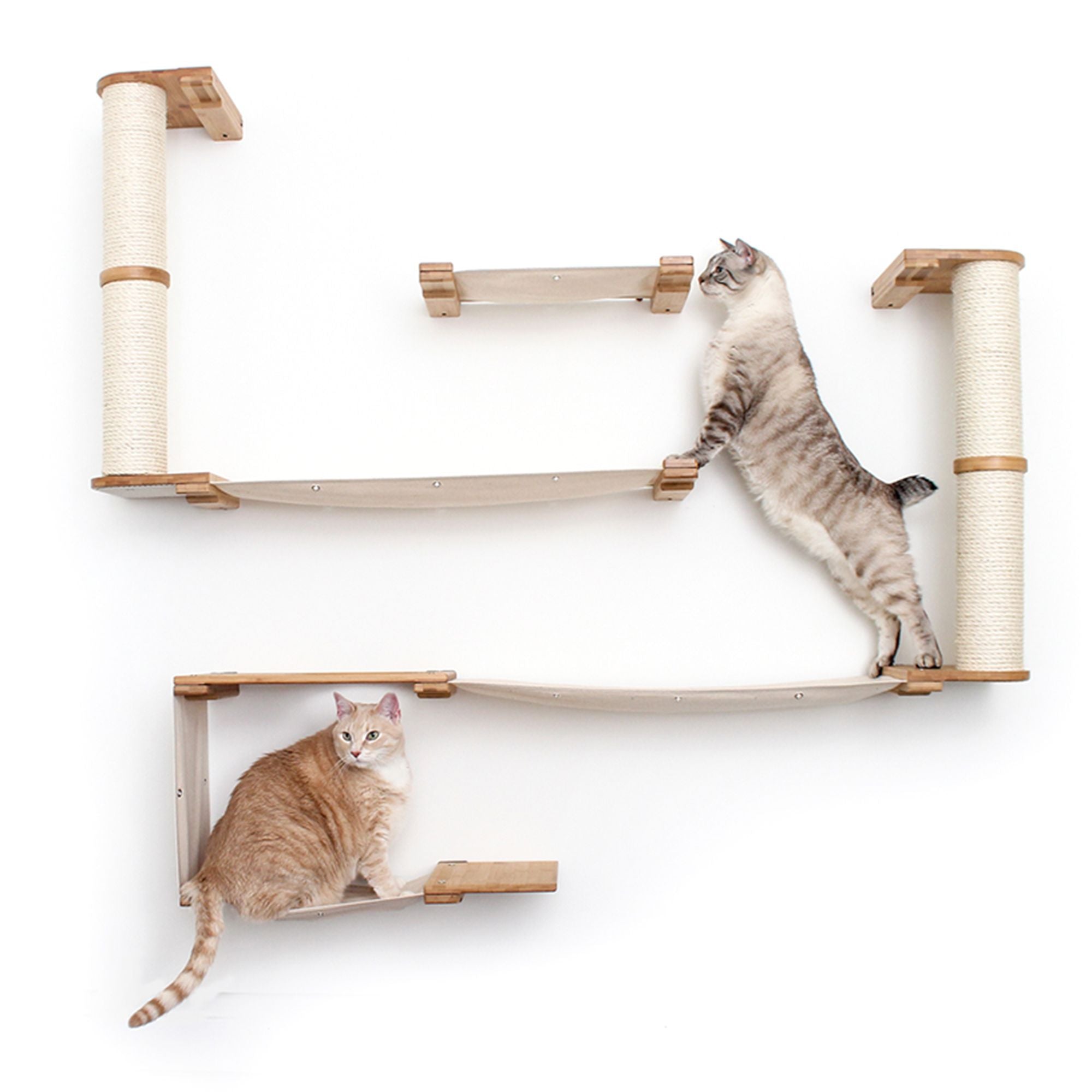 Wall mounted cat condo hotsell