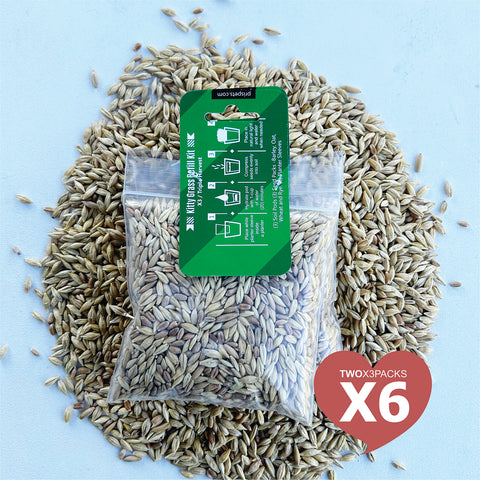 Cat Grass Seed Pack 6x (6 oz total) by Three Farms