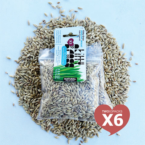 Cat Grass Seed Pack 6x (6 oz total) by Three Farms