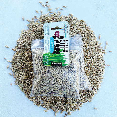 Cat Grass Seed Pack 6x (6 oz total) by Three Farms