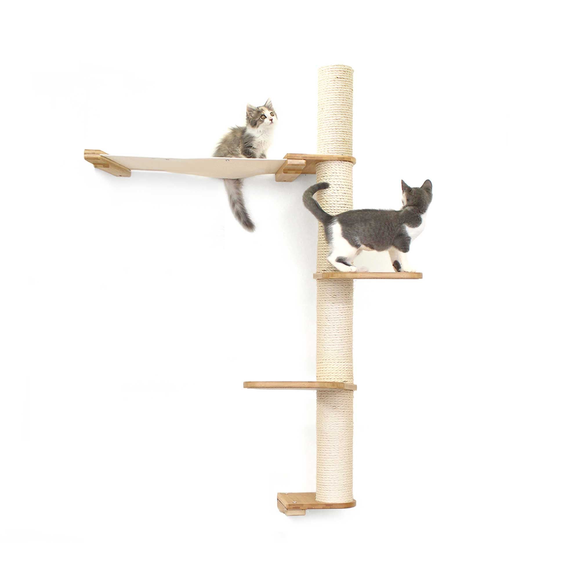 The Crow's Nest: High, Tall Cat Tree/Hammock by Catastrophic Creations
