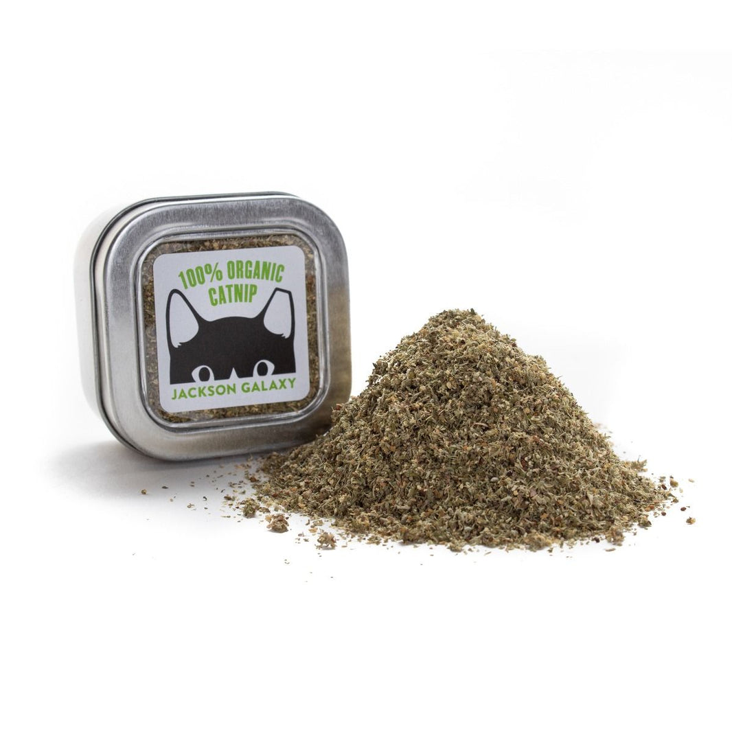 For Cats Jackson Galaxy