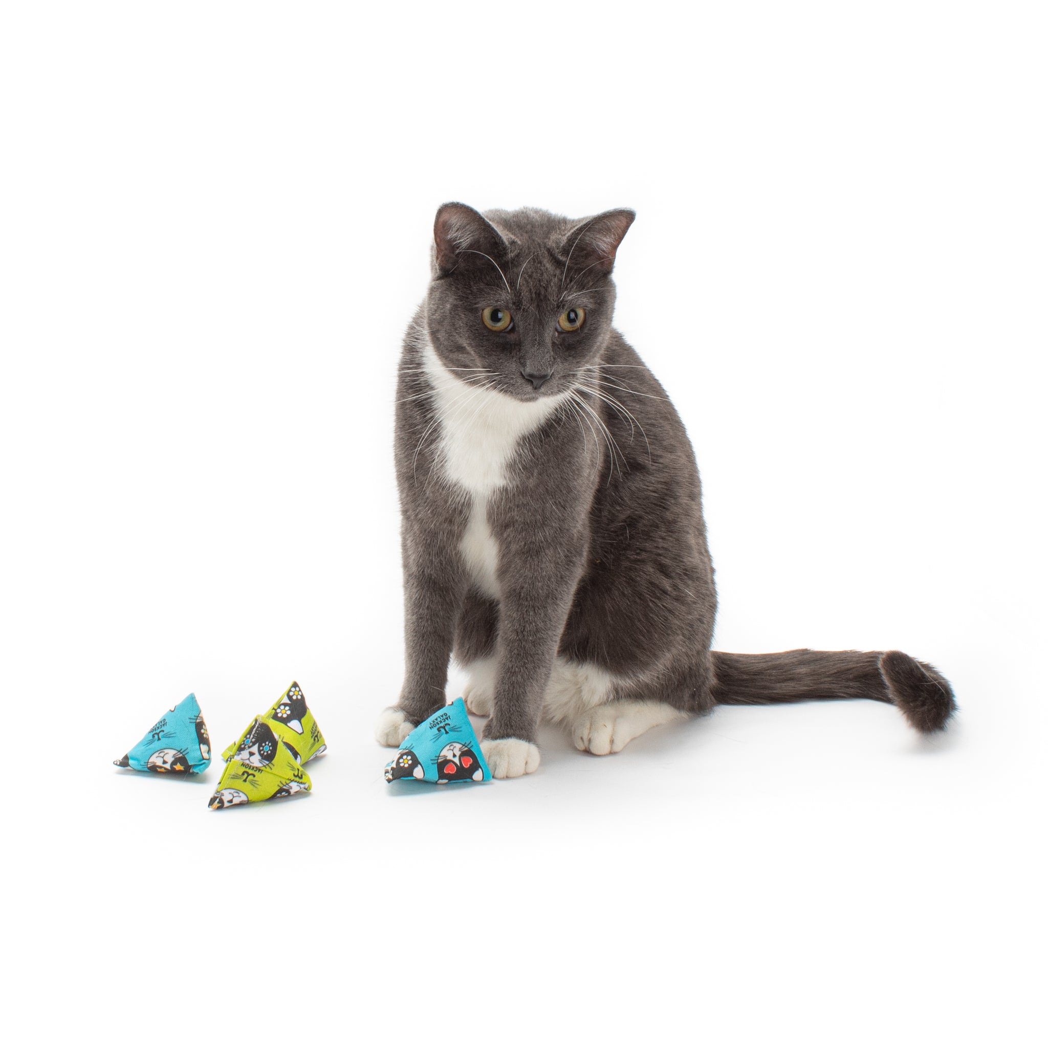 Catnip Pods - Set of 2 or 6