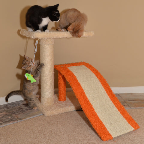 Premium Kitten Scratcher with Ramp by Armarkat