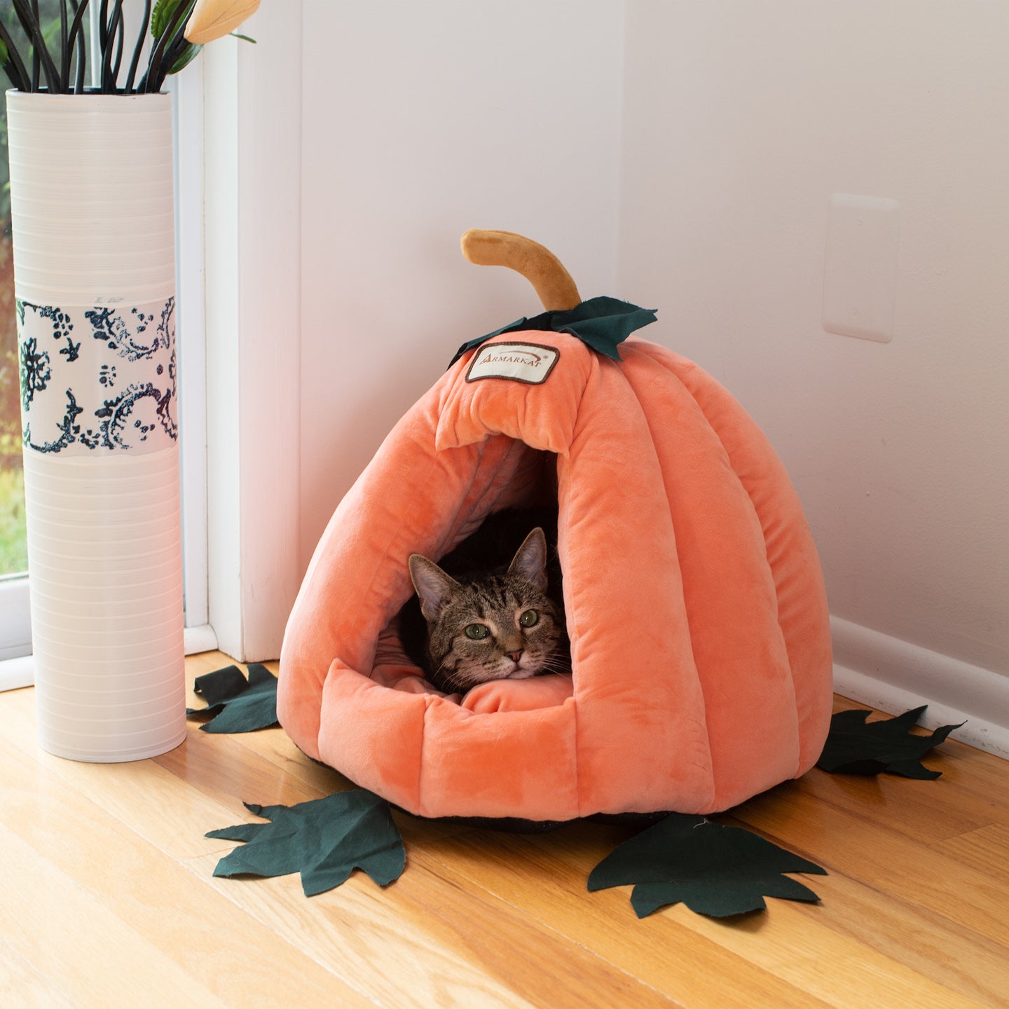 Pumpkin cat bed clearance