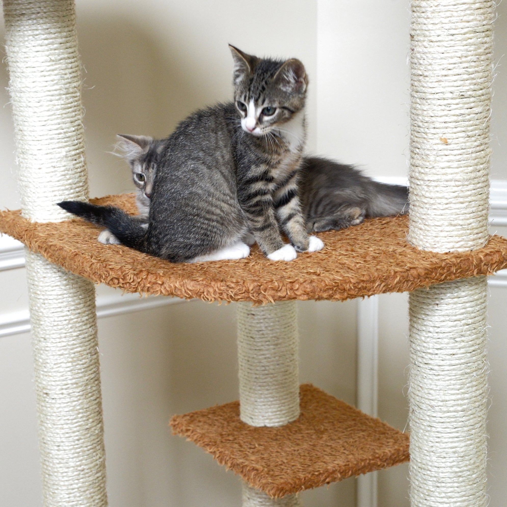 64-inch Ultra-Thick Faux Fur Cat Tree, Chocolate by Armarkat