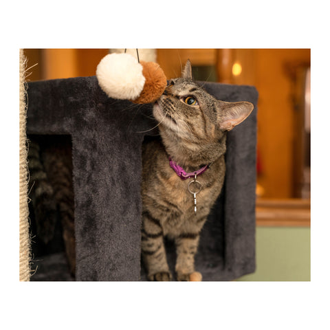 Classic 80-inch Giant Cat Tower for Multiple Cats by Armarkat