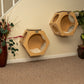 Real Wood Wall Series: Natural Wood Wall Tree (Set of 2) by Armarkat