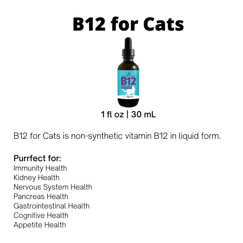 B12 For Cats Dietary Supplement