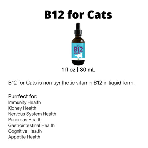 B12 For Cats Dietary Supplement