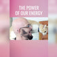 https://www.youtube.com/watch?v=5BfQoGOqKNc&feature=emb_title