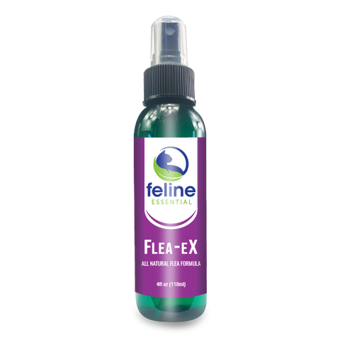 Natural remedies for fleas on kittens clearance