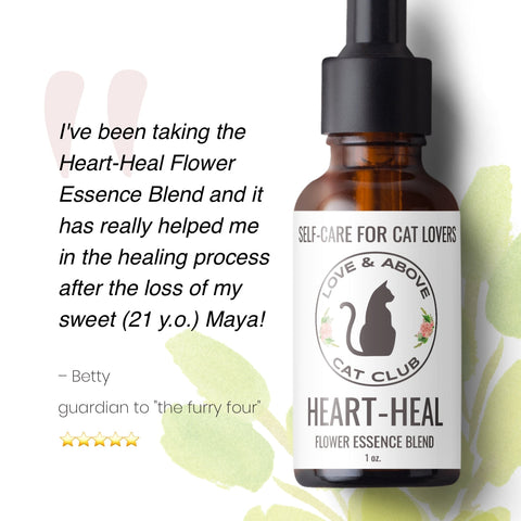 Heart-Heal Set - Grief Support for Humans