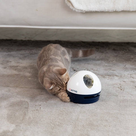 Hidey Mouse - Interactive Electronic Cat Toy by Kittio