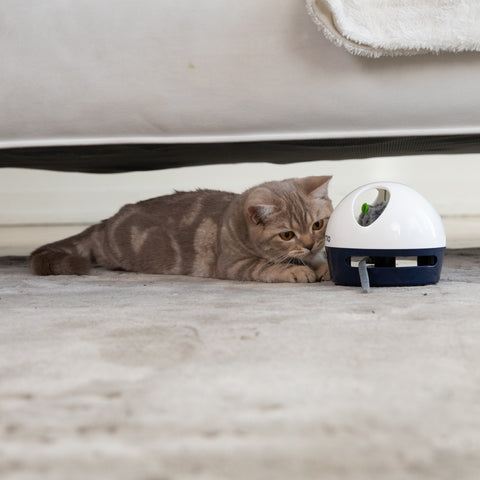 Hidey Mouse - Interactive Electronic Cat Toy by Kittio