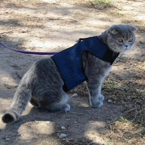 Kitty Holster Cat Harness