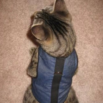 Kitty Holster Cat Harness