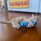 Major Mojo Cat Kicker