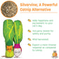 KittiVeggi Silvervine Vegetables (Set of 2) by Twin Critters