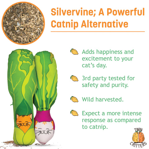 KittiVeggi Silvervine Vegetables (Set of 2) by Twin Critters
